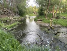 Malše na soutoku s Černou