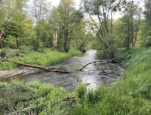 Malše na soutoku s Černou