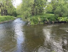 Malše na soutoku s Černou