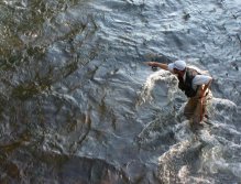 Czech nymphing - fishing rough stream