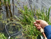Můj oblíbený pohled při soustředěném jezerním lovu náladových duháků - čekání na vytoužené zatažení za šňůru, divoké zdolávání a následné podebrání pěkné ryby!