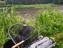 Letní podmračená pohodička na mém oblíbeném pstruhovém stojáku. Mám vše, co potřebuji, abych byl mobilní a lovecky úspěšný! ;-)