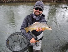 Krásně macatý říční potočák ze zahájení pstruhové sezony spolupracuje při rychlém focení před jeho puštěním zpět! Muškařský podběrák s magnetem Fencl King 2 Nature L je naprosto univerzální a spolehlivý říční pstruhový podběrák!