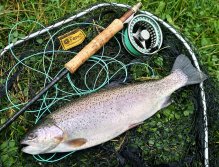 Klasické tradiční zátiší ve stylu Fish & Gear tentokrát s pěkně rostlým jezerním duhákem!