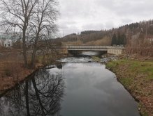 Pstruhové zahájení na Labi