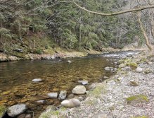 Pstruhové zahájení na Labi