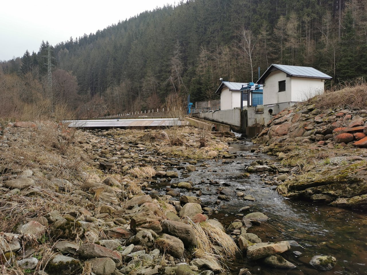 Pstruhov� zah�jen� na Labi