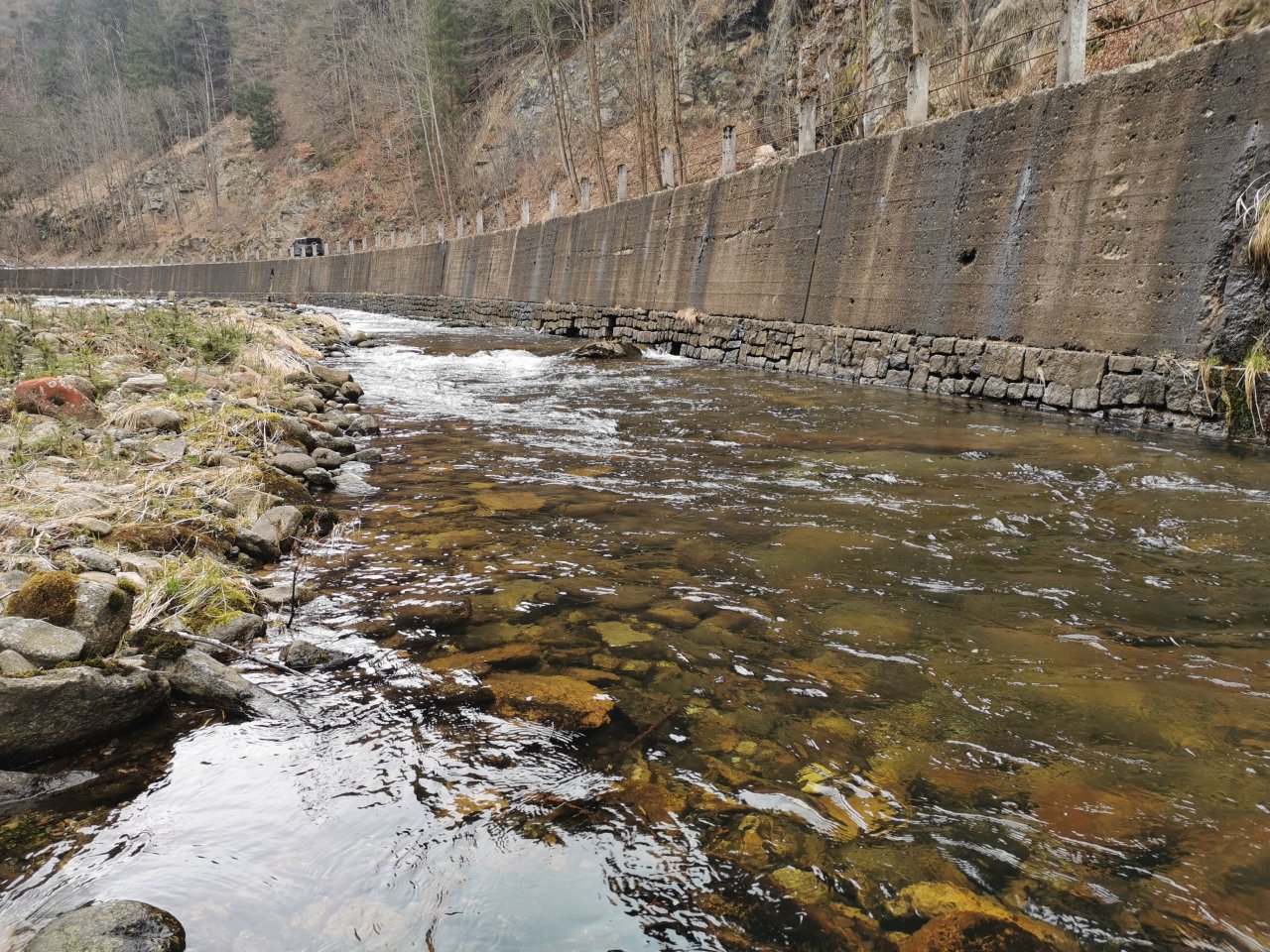 Pstruhov� zah�jen� na Labi