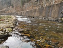 Pstruhové zahájení na Labi