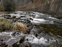 Pstruhové zahájení na Labi