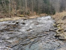 Pstruhové zahájení na Labi