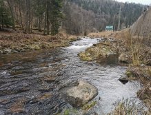 Pstruhové zahájení na Labi