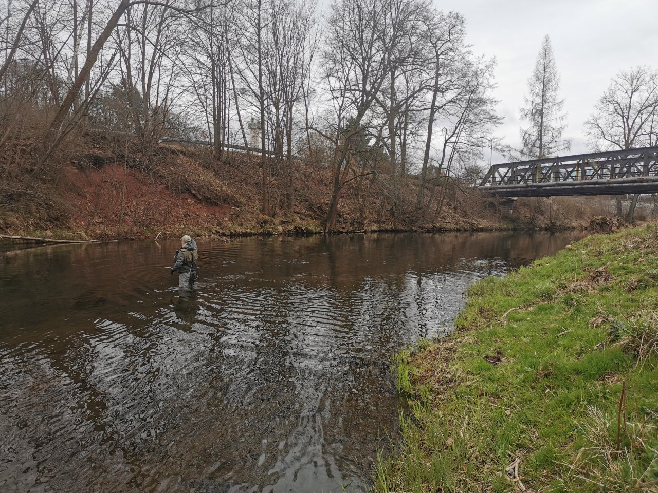 Pstruhov� zah�jen� na Labi