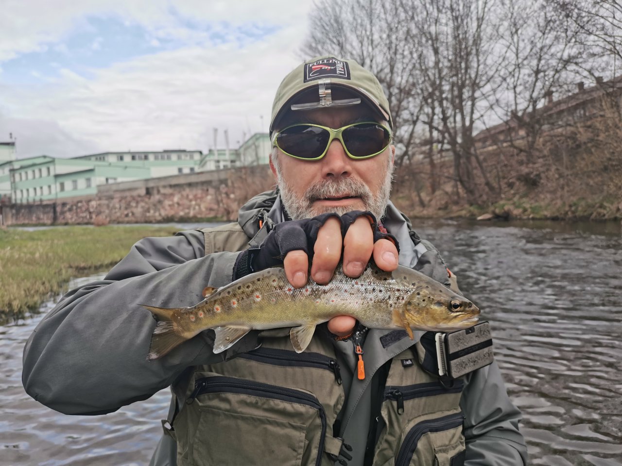 Pstruhov� zah�jen� na Labi