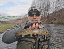 Pstruhové zahájení na Labi