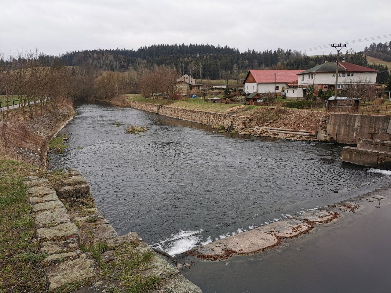 Pstruhov� zah�jen� na Labi