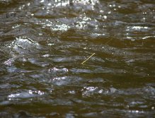 Indikátor záběru - detail