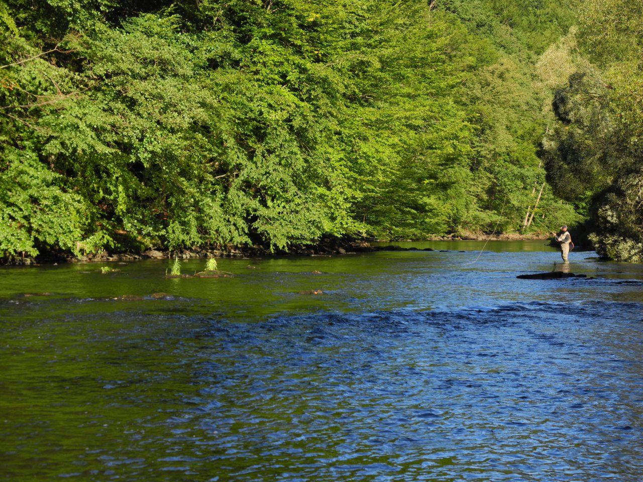 Dyje pod Vranovem nad Dyj�