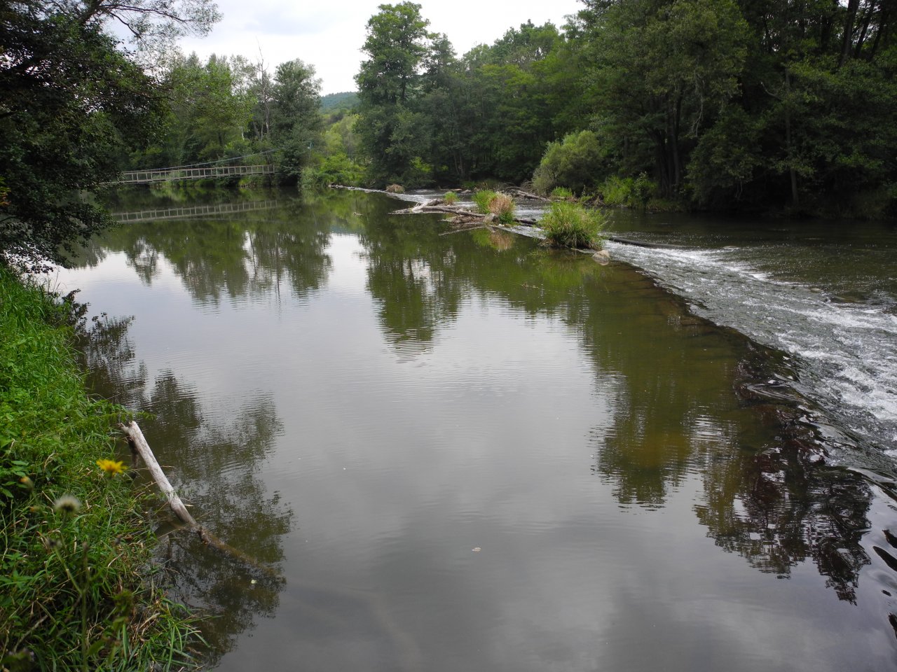 Dyje nedeleko �obesu