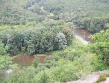 Dyje nedeleko Šobesu