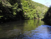 Dyje pod Vranovem nad Dyjí