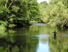 Dyje pod Vranovem nad Dyjí
