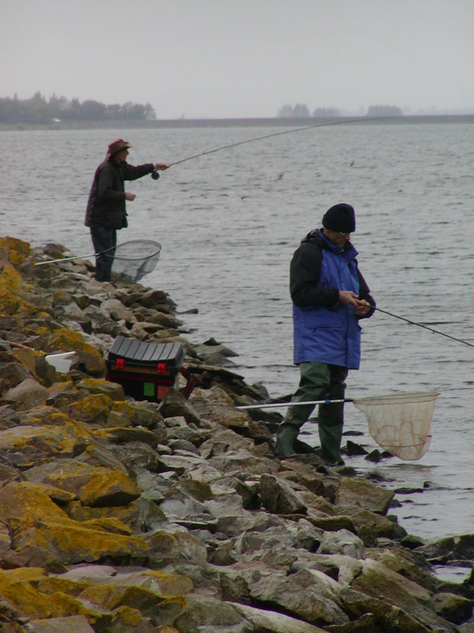 Ryba�en� ze b�ehu