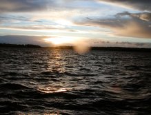 Večer na Rutland Water