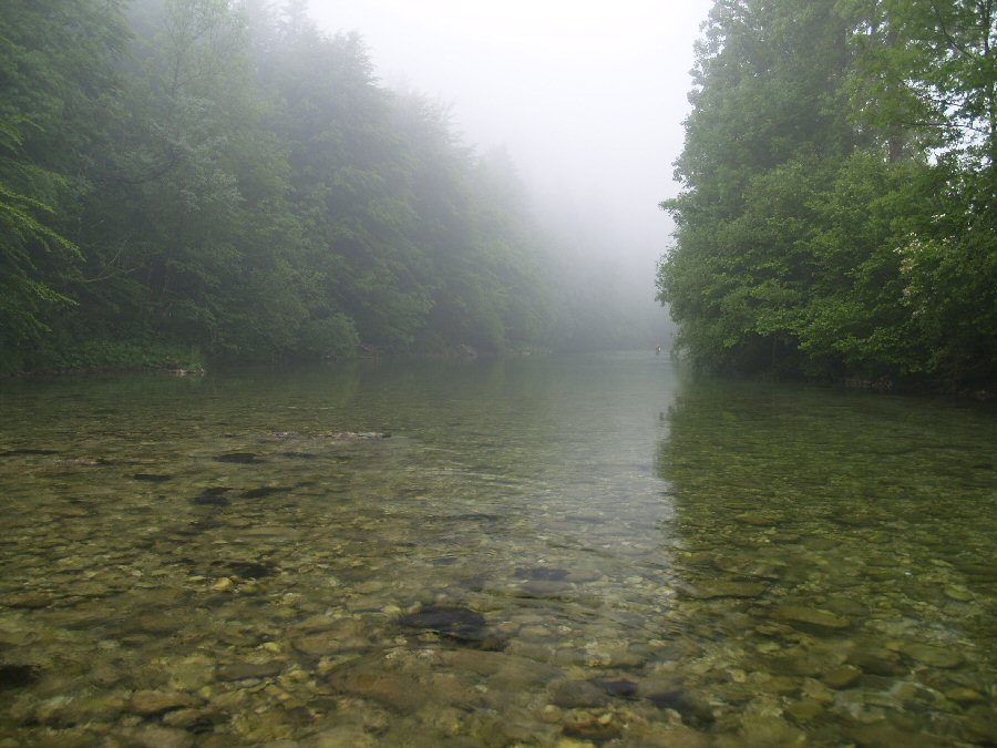 Sava Bohinjka - mlhav� r�no