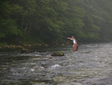 Sava Bohinjka rybaření v mlhavém ránu