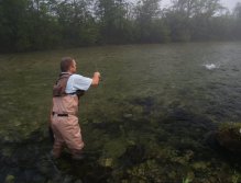 Sava Bohinjka - první úlovek dne