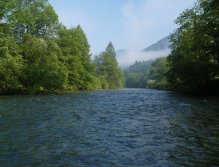 Sava Bohinjka v ranních hodinách