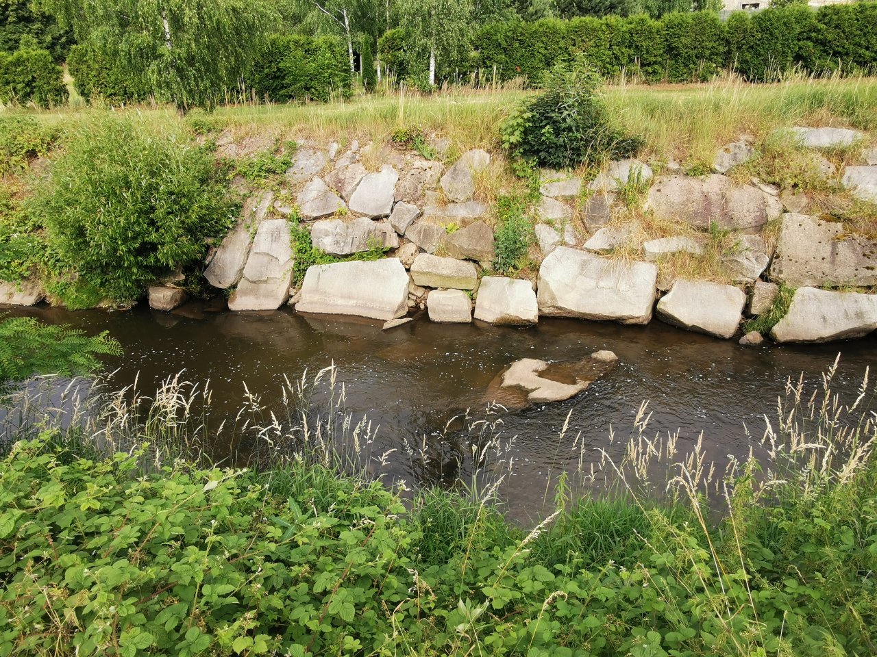 Lit�vka v �enkov�