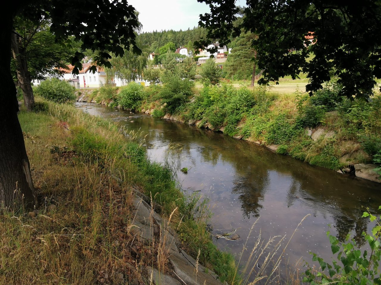 Lit�vka v �enkov�