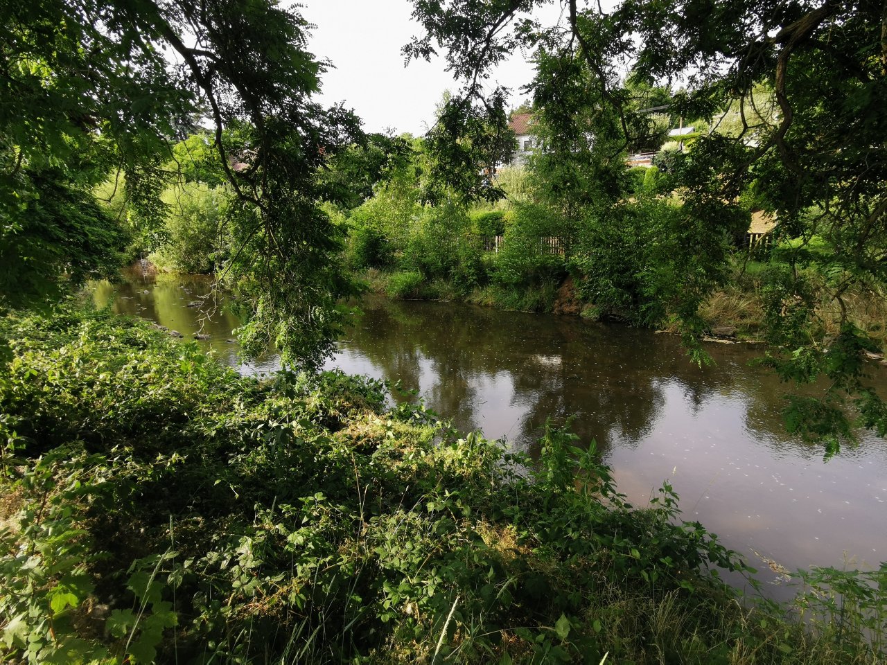 Lit�vka v �enkov�