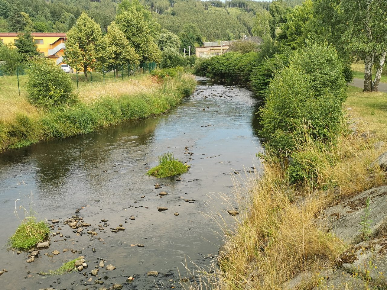 Lit�vka v �enkov�