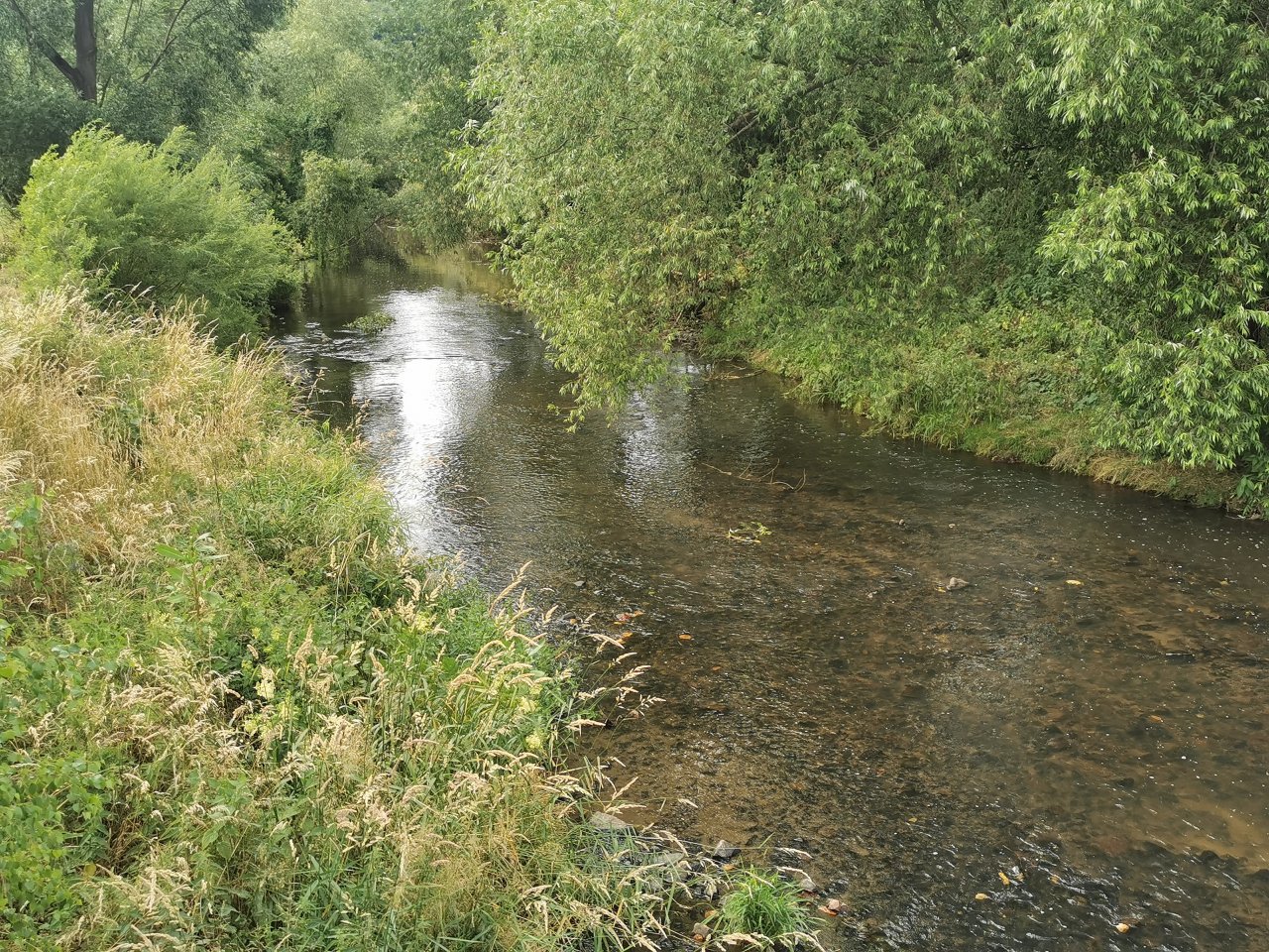 Lit�vka v �enkov�