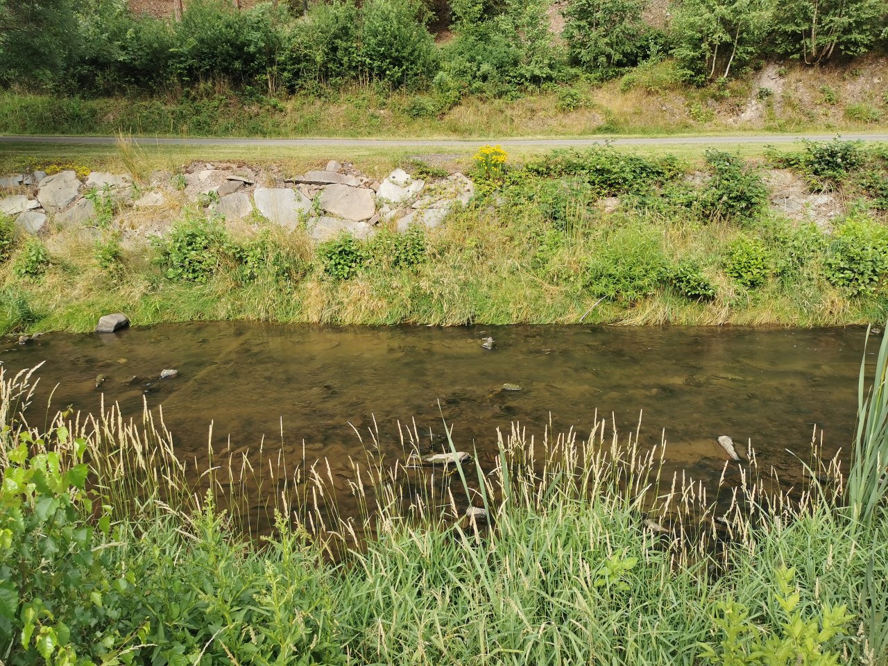 Lit�vka v �enkov�