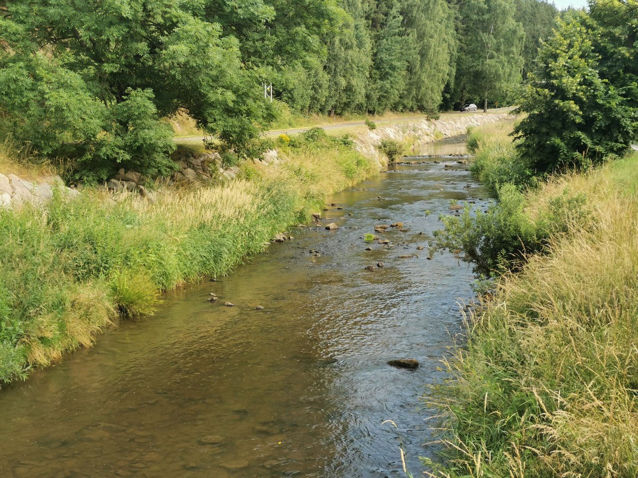 Lit�vka v �enkov�