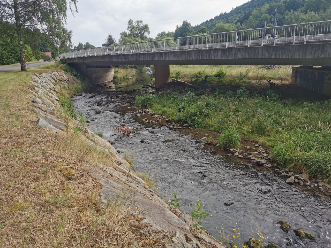 Lit�vka v �enkov�