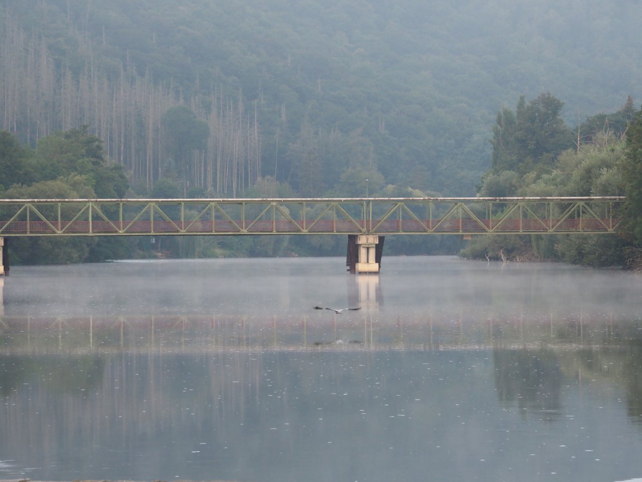 Berounka - jez Zadn� T�eba�