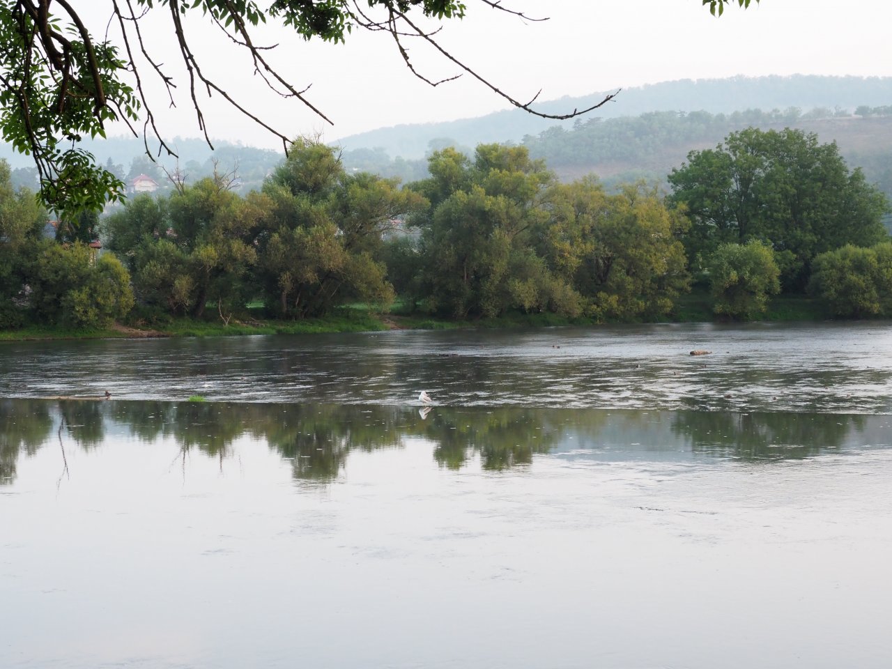 Berounka - jez Zadn� T�eba�