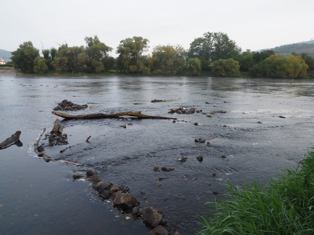 Berounka - jez Zadn� T�eba�