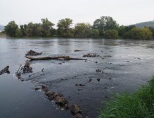 Berounka - jez Zadní Třebaň