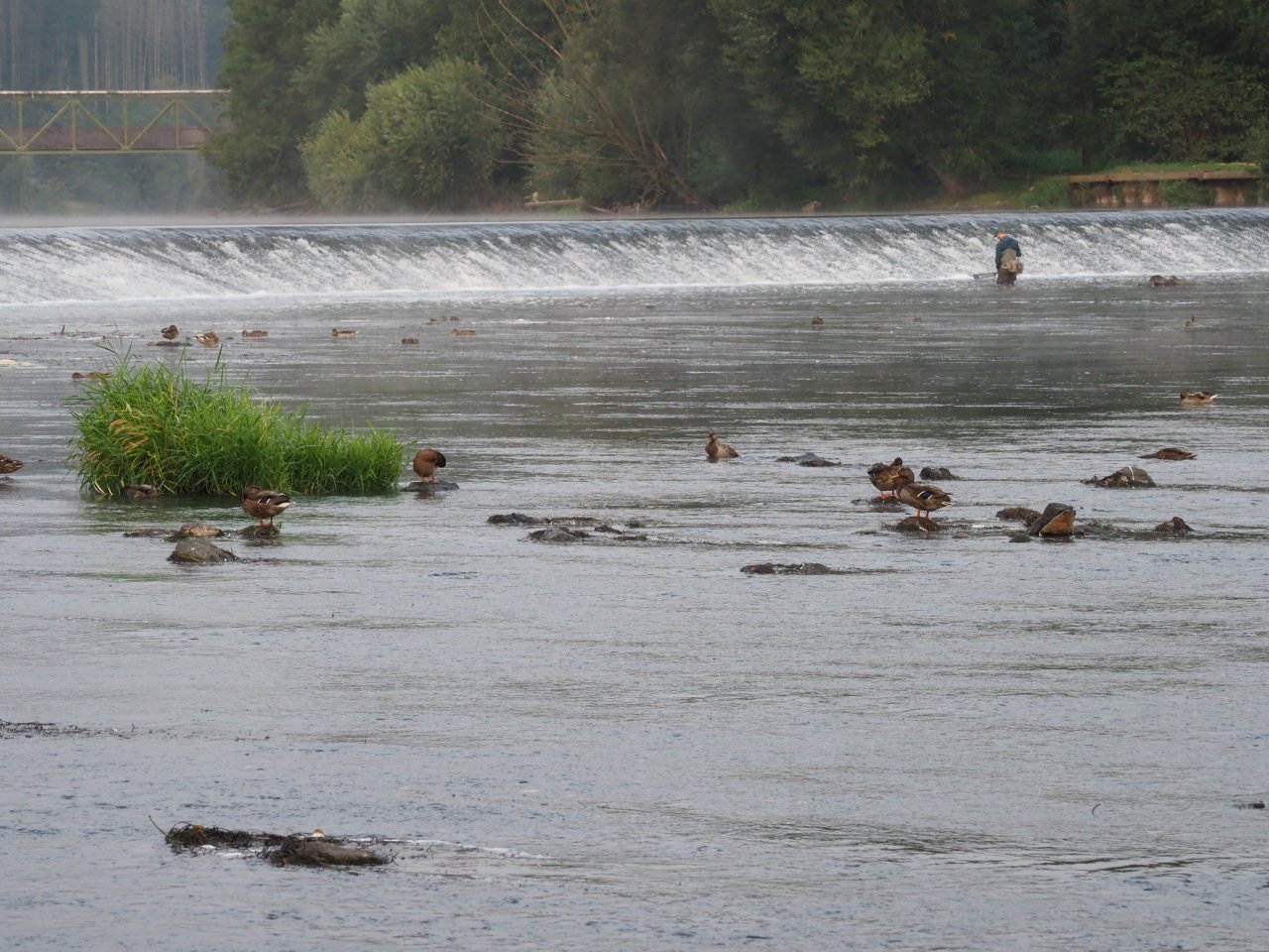 Berounka - jez Zadn� T�eba�