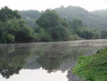 Berounka - jez Zadní Třebaň