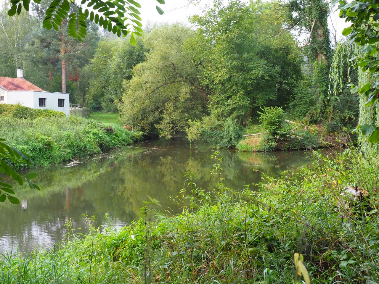 Berounka - jez Zadn� T�eba�