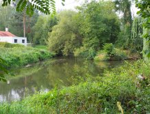 Berounka - jez Zadní Třebaň