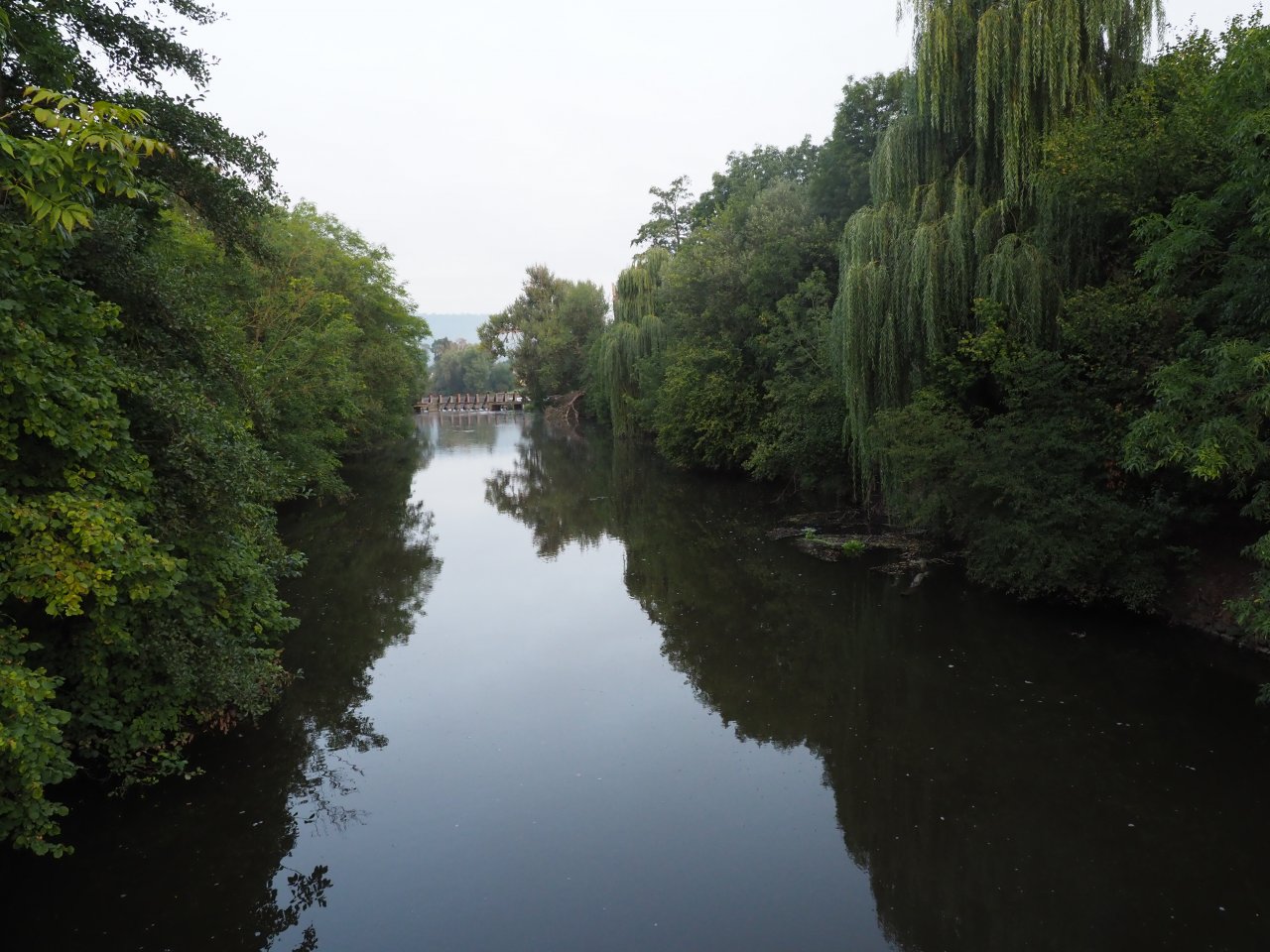 Berounka - jez Zadn� T�eba�