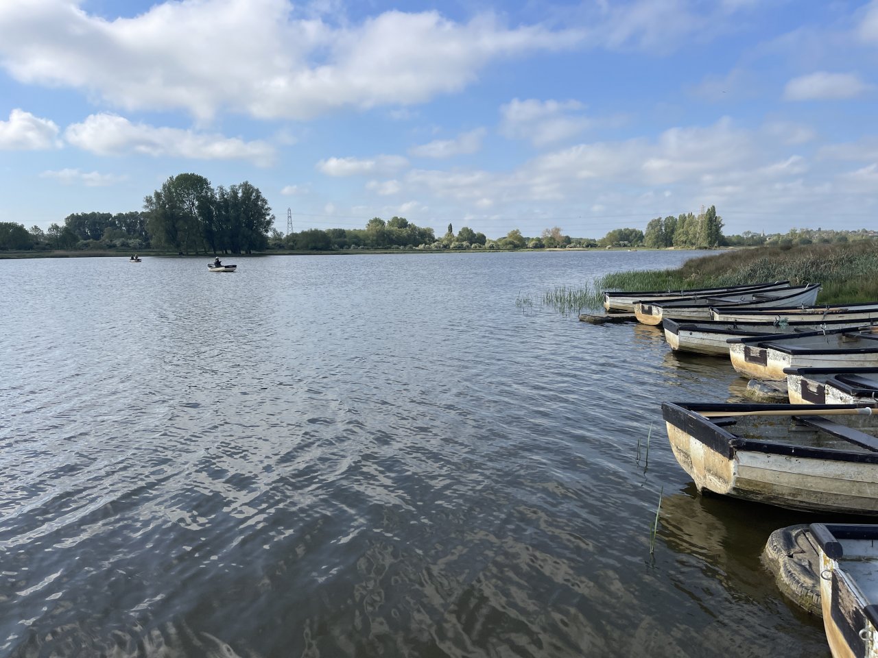 Elinor Trout Fishery